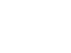 A white logo featuring two palm trees and the letter s, representing a Florida Wedding Venue.