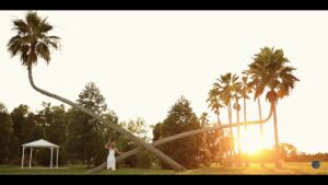 A couple standing in front of a palm tree at sunset during their Florida wedding.